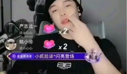 网红黑料是什么意思,网络舆论背后的真相与反思